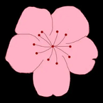 WWW,av603·COM网站APP最新版